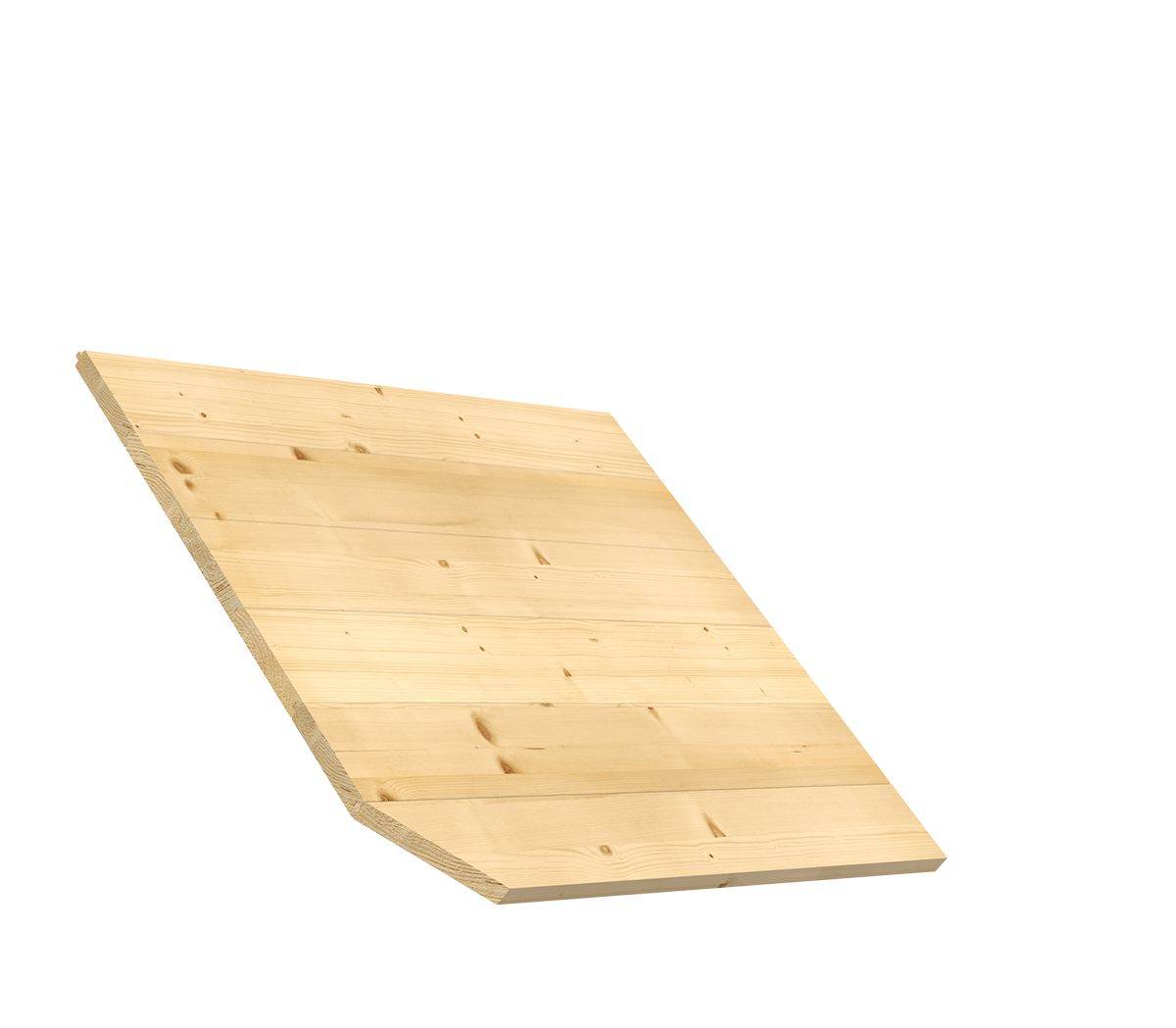 sichtdachstuhl-08